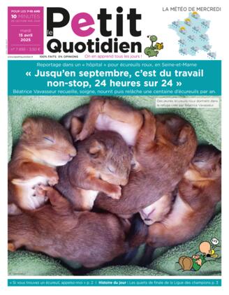 Couverture du magazine "Le Petit Quotidien" n°7693